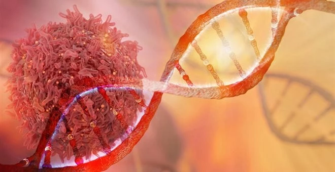 Το ένα τέταρτο των θανάτων σε Ελλάδα και ΕΕ οφείλεται στον καρκίνο